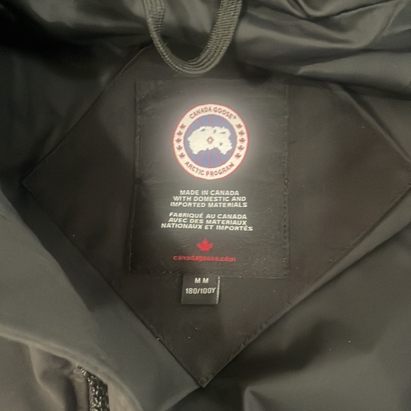 Canadian goose - Picture 2 of 3